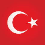 vector illustration of a square turkey flag.